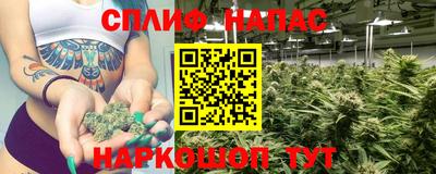 Альфа ПВП Будённовск
