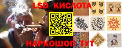 Альфа ПВП Будённовск