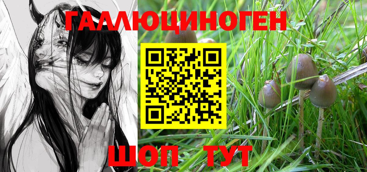 Реутов  Псилоцибиновые грибы Cubensis  Вход с VPN 